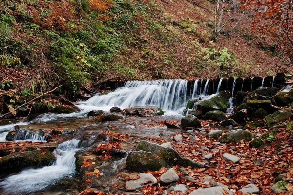 Los rápidos del río de montaña en otoño majestuoso bosque con hoja caída — Foto de Stock