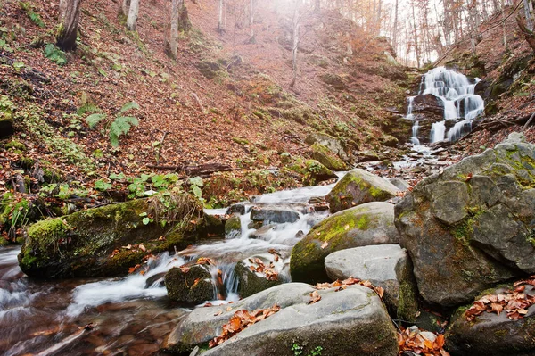 Shypit Cascada en Borzhava, Pylypets pueblo en Carpathian mou — Foto de Stock