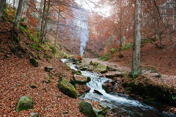 Los rápidos del río de montaña en otoño majestuoso bosque con hoja caída — Foto de Stock