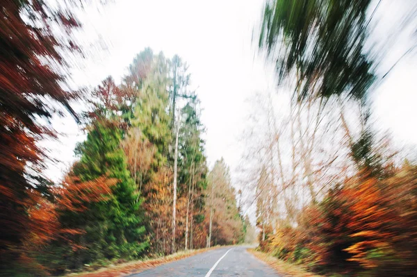 Efeito Blur de movimento na estrada de outono com floresta . — Fotografia de Stock