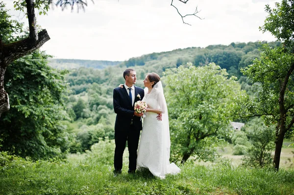Bella coppia di nozze vicino albero sfondo paesaggio e mountai — Foto Stock