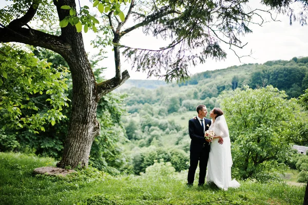 Hermosa pareja de boda cerca del paisaje de fondo del árbol y mountai —  Fotos de Stock