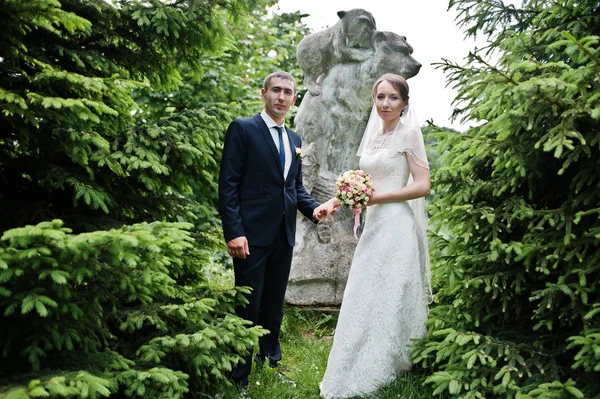 Couple de mariage fond pierre monument d'ours près de l'épinette tr — Photo