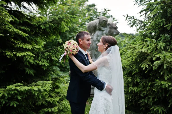 Boda pareja fondo piedra monumento de osos cerca de abeto tr —  Fotos de Stock