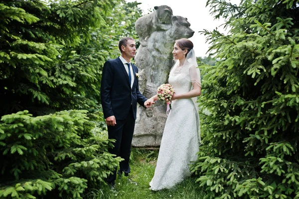 Wedding couple background stone monument of bears near spruce tr — Stock Photo, Image