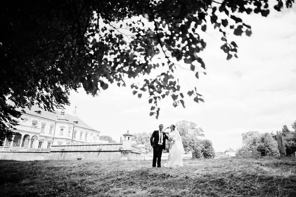 Casamento casal fundo velho castelo vintage. Feliz recém-casados em — Fotografia de Stock