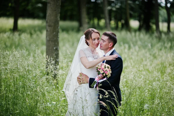 Para ślub zakochany w wysokiej trawie, w dzień wiosny — Zdjęcie stockowe