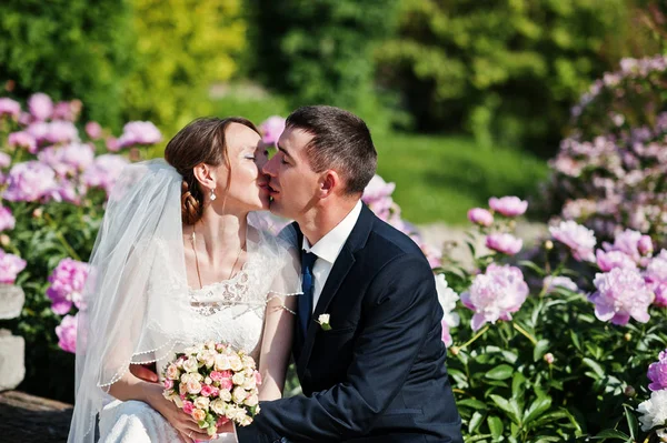 Wedding couple sitting on bench background peonies garden — Stock Photo, Image