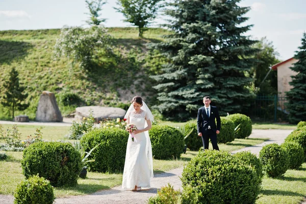 Wedding couple at garden with round bushes — Stock Photo, Image