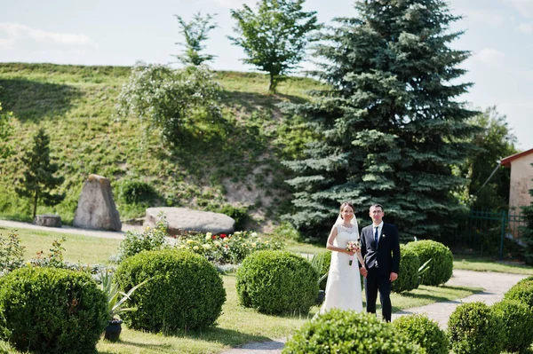 Свадебная пара в саду с круглыми кустами — стоковое фото