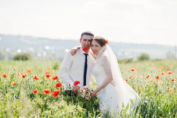 Pareja de bodas en el campo de las amapolas enamoradas —  Fotos de Stock