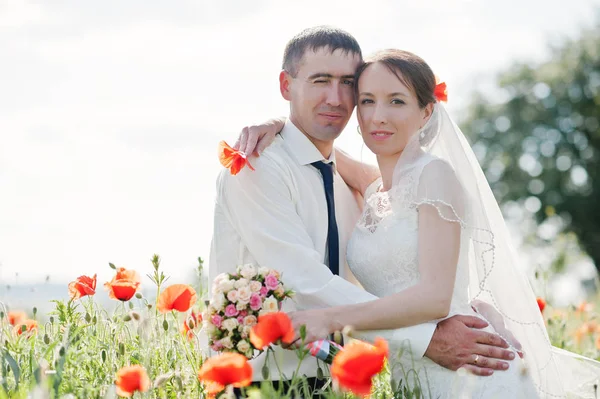 Pareja de bodas en el campo de las amapolas enamoradas —  Fotos de Stock