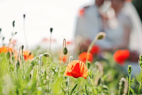 Roter Mohn Hintergrund Hochzeitspaar bei sonnigem Tag. — Stockfoto