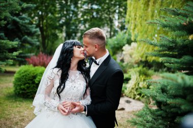 Glamourus wedding couple kissed on garden of pine trees. clipart