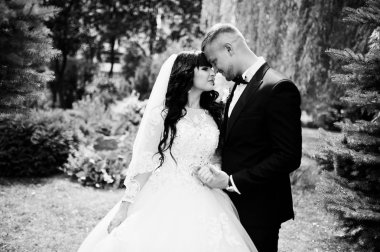 Glamourus düğün birkaç bahçesinde çam ağaçları. Siyah ve beyaz