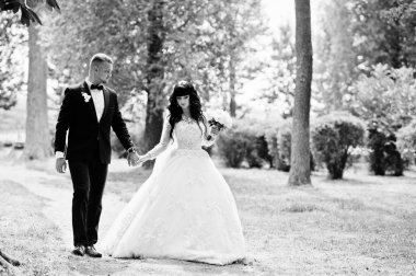 Büyük düğün çift el ele parkta yürüyüş. Siyah ve wh