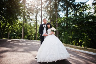 Serin evlilik çift güneş çam ağaçları ahşap arka plan.