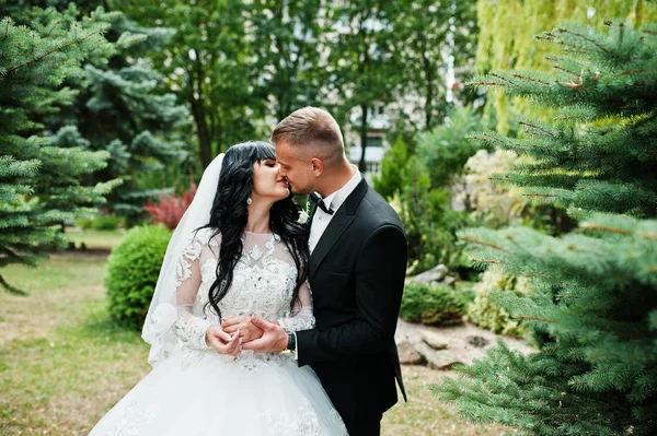 Casal de Glamourus beijou no jardim de pinheiros . — Fotografia de Stock