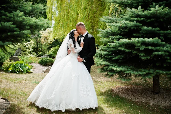 Glamourus pareja de boda besada en el jardín de pinos . —  Fotos de Stock