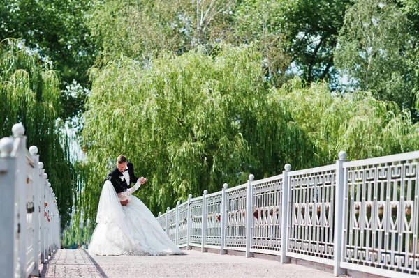 Dansende bruidspaar op brug achtergrond eiland met wilg t — Stockfoto