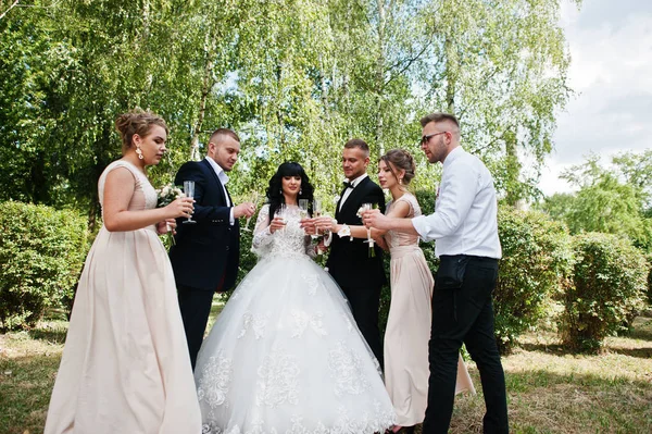 Elegante pareja de boda, padrino y damas de honor bebiendo campeón — Foto de Stock