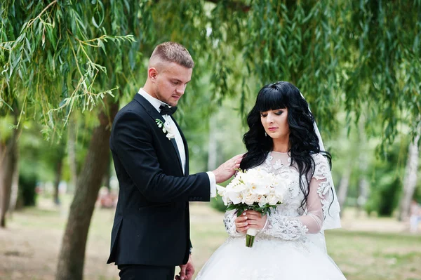 Delectable pareja de boda permanecer abrazando en el parque de sauce de fondo — Foto de Stock