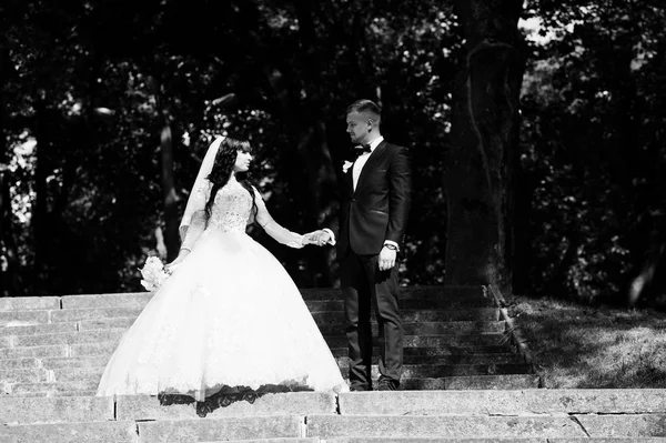 俏皮的新婚夫妇在楼梯上公园在阳光明媚的婚礼。Bla — 图库照片