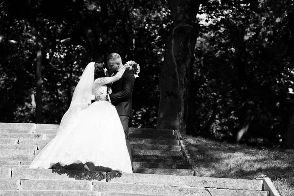 Pasangan pengantin yang cantik di tangga di taman pada hari pernikahan yang cerah. Bla — Stok Foto