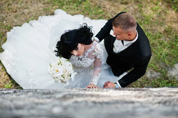 Blick von oben auf ein stilvolles Hochzeitspaar im Park. Bräutigam küsst ne — Stockfoto