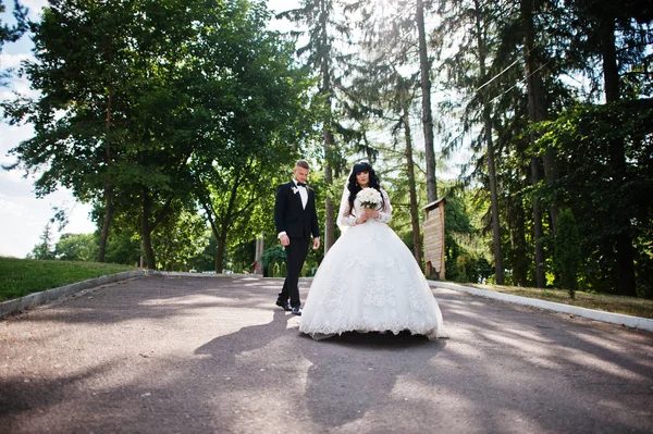 サンシャインの松林の木背景のクールな結婚式のカップル. — ストック写真