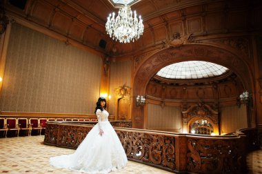 Cute brunette bride posed on rich royal palace. clipart