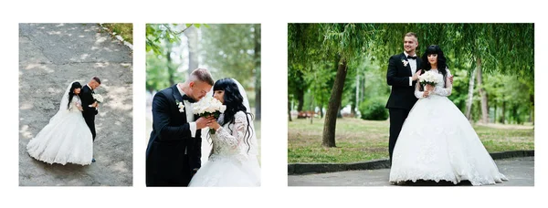 写真の二重ページを備えたエレガントな結婚式のカップル。広い結婚式 p — ストック写真