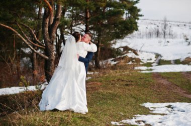 İnanılmaz genç Düğün çifti kış frost ve güneşli d aşık