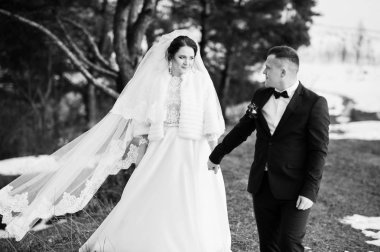 İnanılmaz genç Düğün çifti kış frost ve güneşli d aşık