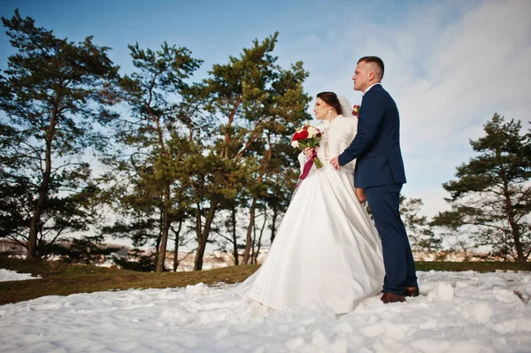 Increíble joven pareja de boda en el amor en las heladas de invierno y soleado d — Foto de Stock