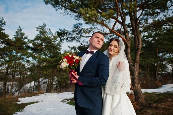 İnanılmaz genç Düğün çifti kış frost ve güneşli d aşık — Stok fotoğraf
