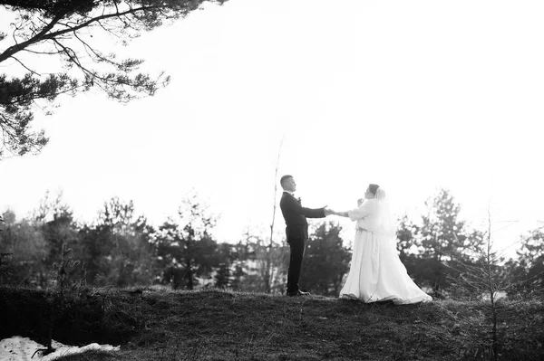 Junges Hochzeitspaar verliebt bei Winterfrost und sonnigem Wetter — Stockfoto