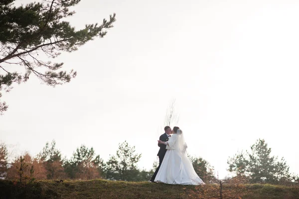 Amazing young wedding couple in love at winter frost and sunny d — Stock Photo, Image