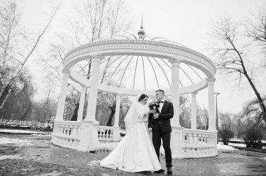 Şehvetli Düğün çifti, col sütunlarla Beyaz kemer arka plan