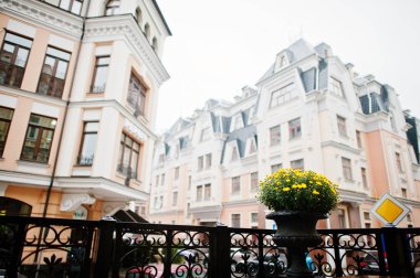 Sarı çiçekli balkon arka plan binalar üzerinde saksı.