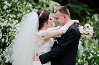 Şık düğün çift beyaz çiçek ile aşk arka plan Bush