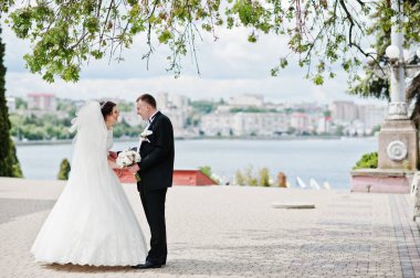 Evlilik çift ağaç arka plan Şehir Gölü altında kal.