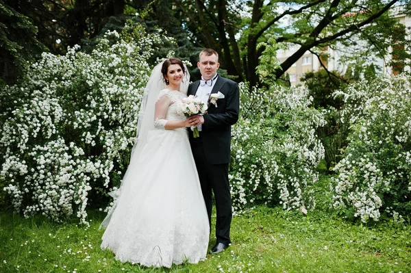 Elegante matrimonio coppia in amore sfondo cespuglio con fiore bianco — Foto Stock