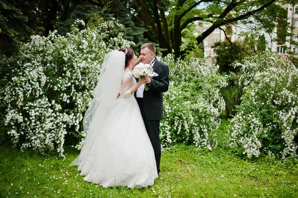 Casal de casamento elegante em arbusto de fundo de amor com flor branca — Fotografia de Stock