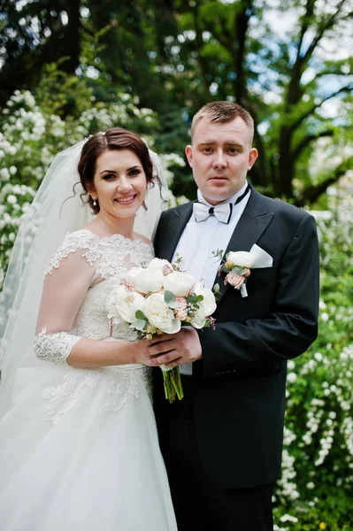 Elegant bröllop par i kärlek bakgrund buske med vita blommor — Stockfoto