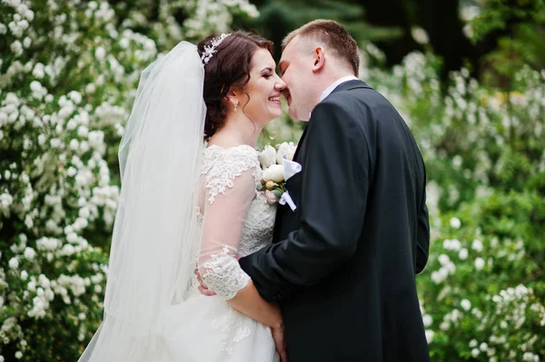 Elegante matrimonio coppia in amore sfondo cespuglio con fiore bianco — Foto Stock