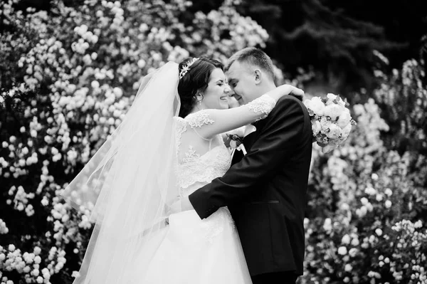 Casal de casamento elegante em arbusto de fundo de amor com flor branca — Fotografia de Stock