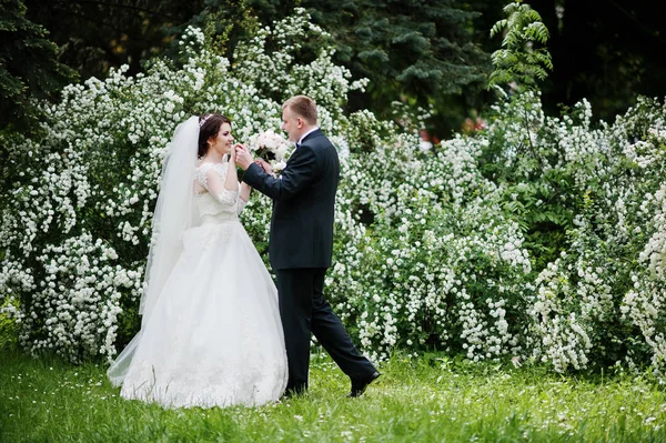 Elegant wedding couple in love background bush with white flower — Stock Photo, Image