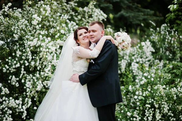 Elegante matrimonio coppia in amore sfondo cespuglio con fiore bianco — Foto Stock