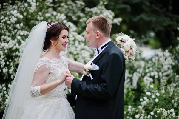 Elegante bruidspaar in liefde achtergrond heester met witte bloem — Stockfoto